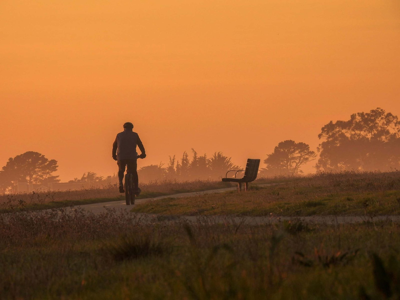 How Did Healing Ourselves Get So Exhausting?