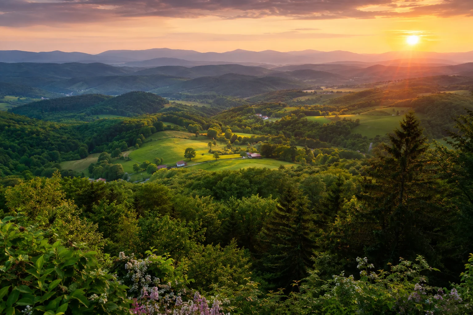 The Ravages Beyond Watauga Ashe, Wilkes, and Caldwell Counties