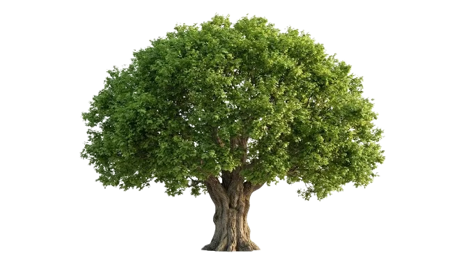 green tree
