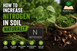 how to increase nitrogen in soil naturally